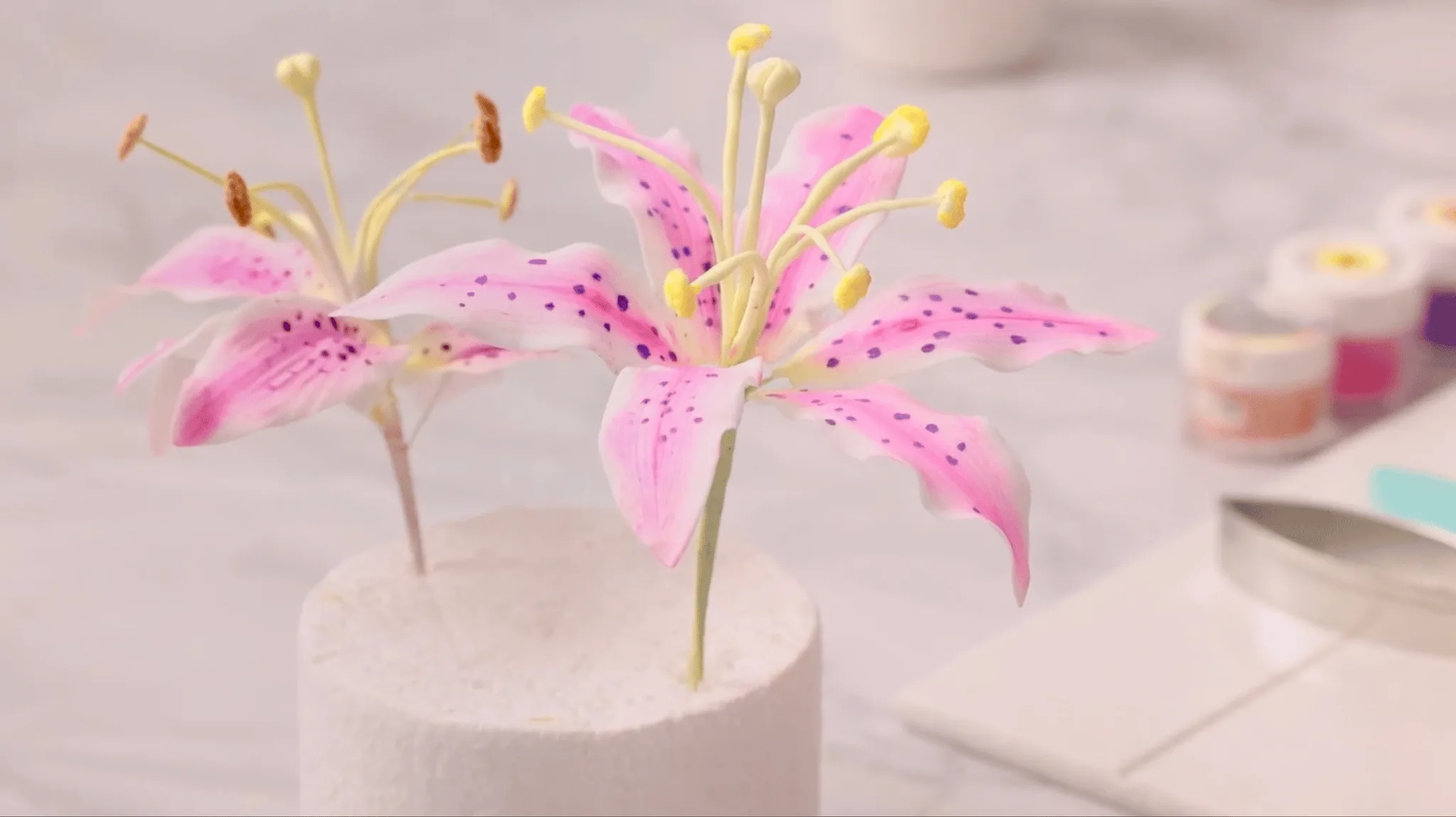 Lilie Onlinekurs – Bild 4