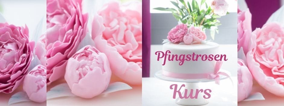 #caption-22783 Slider Pfingstrosen