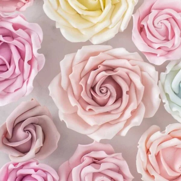 Grosse Zuckerrose Onlinekurs